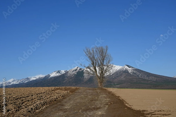 Obraz 雪かぶる山と畑