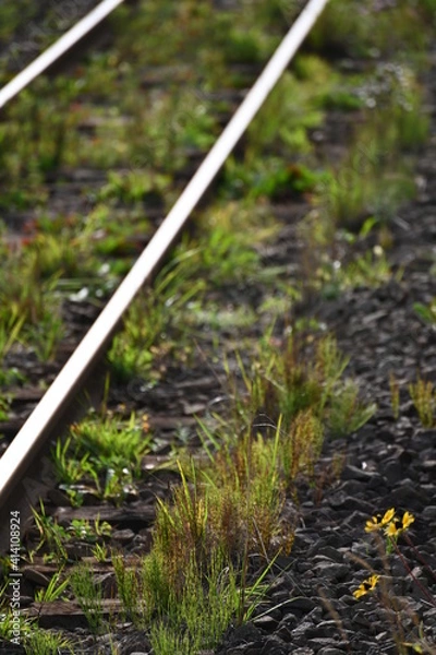 Obraz 荒野に輝く鉄路