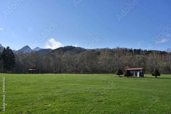 Obraz 緑地の公園