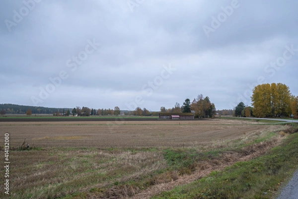 Fototapeta landscape with a national ski jump far in the background