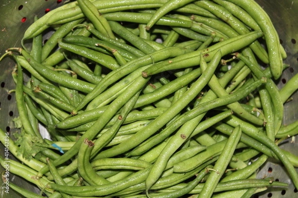 Fototapeta green bim vegetable in the market with bim background.