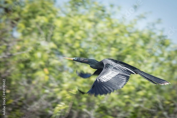 Fototapeta Jet Powered