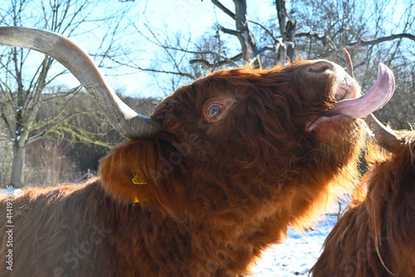 Obraz Zeig mal deine Zunge