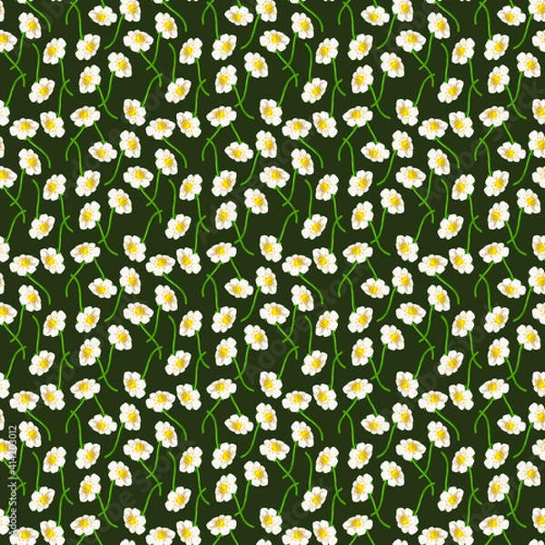 Fototapeta Seamless pattern, white flowers of strawberries on a dark background.