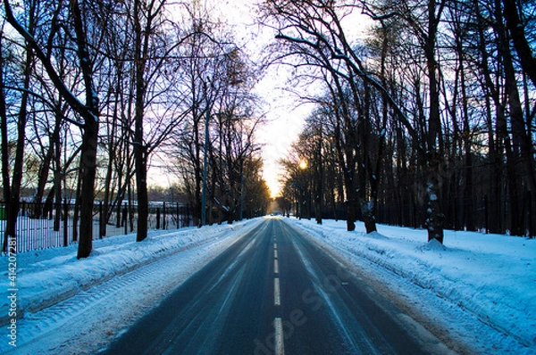 Obraz sunset in the park