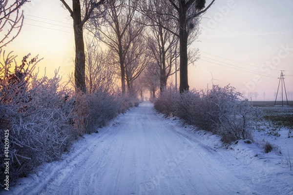 Fototapeta A field road covered with snow on a frosty morning.
