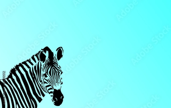 Obraz zebra vector illustration