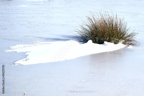 Obraz landscape with snow