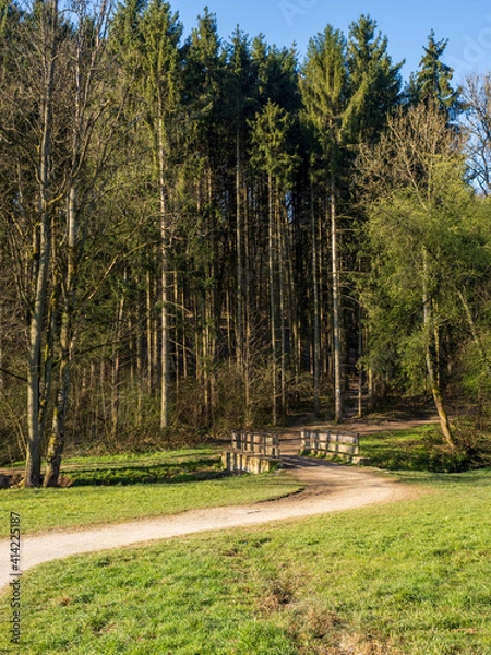 Fototapeta Waldweg mit Brücke