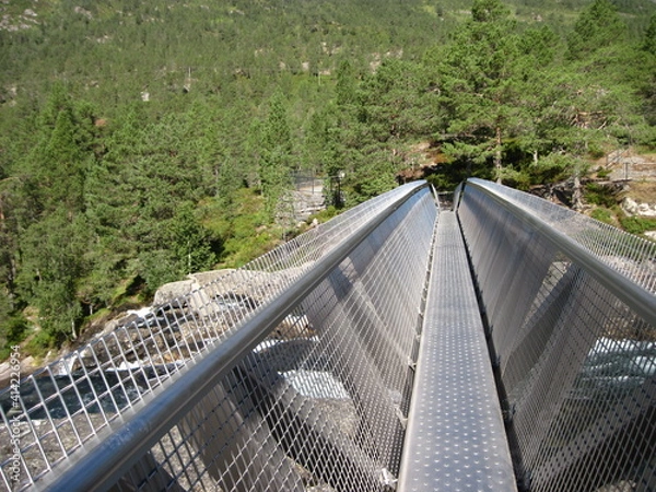 Fototapeta Kattanakken