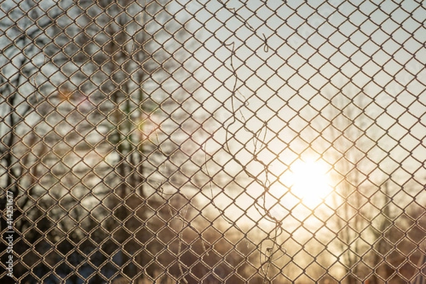 Obraz the sun shines through a metal grate. the cage is covered with frost
