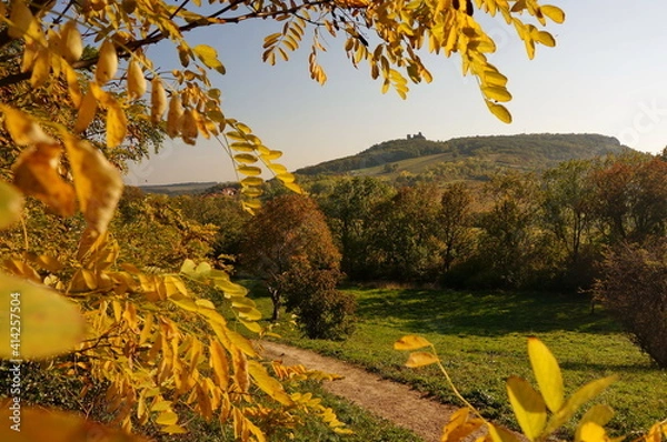 Obraz Picture of a beautiful autumn landscape in Pálava protected landscape area in Czechia, framed by yellow leaves