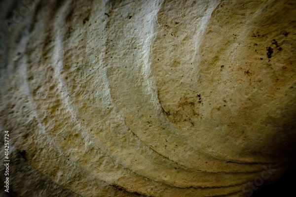 Obraz old background