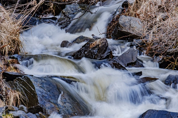 Fototapeta stream in the forest