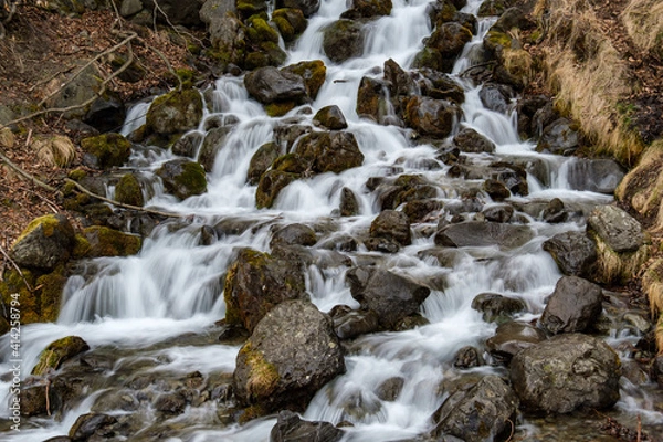 Obraz waterfall in the forest