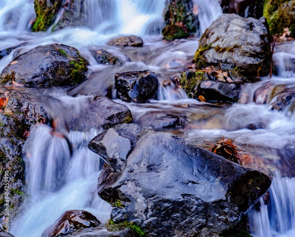 Obraz waterfall in the forest