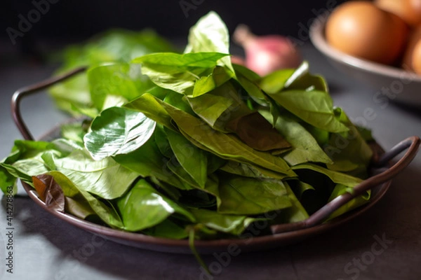 Fototapeta ingredient for Stir-fried Malindjo leaves with Egg on dark background. (Thai name is Bai Lieng Pad Kai),the leaves is local plant of Southern Thailand, believe it is healthy food