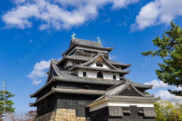 Fototapeta 晴天の国宝松江城天守閣　島根県松江市