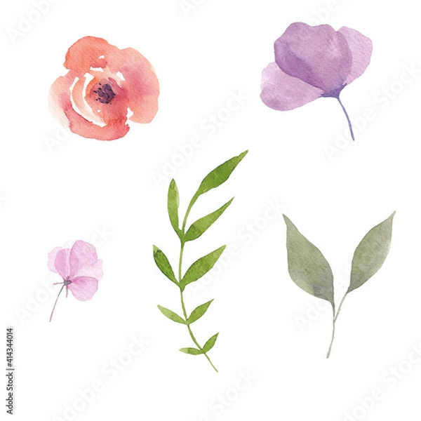 Fototapeta Paint set of hand-drawn watercolor violet and pink flowers, rose leaves on a white background. Use for menus, invitations, wedding