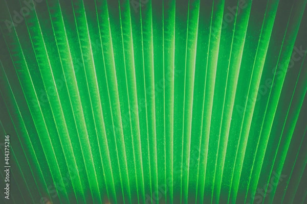 Fototapeta  leaf background AND BEAUTIFUL BACKGROUND