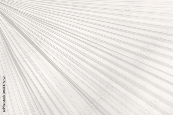 Fototapeta leaf background AND BEAUTIFUL BACKGROUND