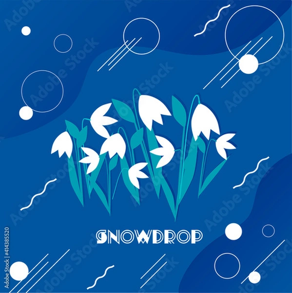 Fototapeta Snowdrop. Happy womens day. Vector illustration on the theme Spring, the first flowers snowdrops, International Women's Day.