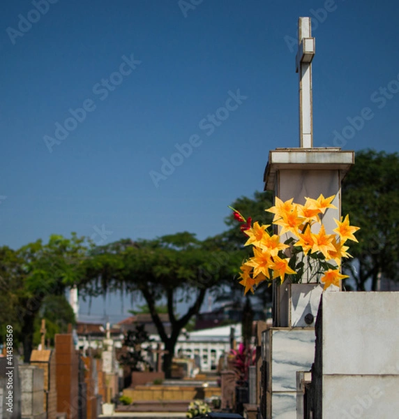 Obraz cat on the cemetery
