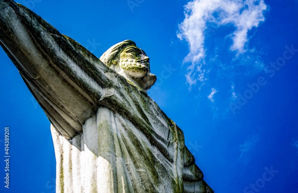 Obraz Christ the Redeemer