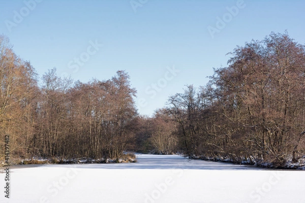 Obraz Beautiful view on a Dutch winter landscape, trees and a frozen lake, blue sky and lovely sunlight. A perfect place for enjoying envrironment, nature and stillness