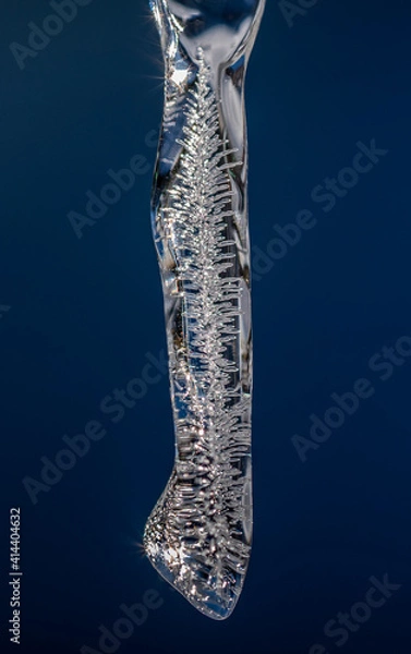 Fototapeta icicle with sunlight