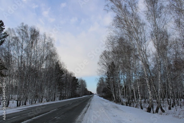 Fototapeta winter forest, on the way to the taiga