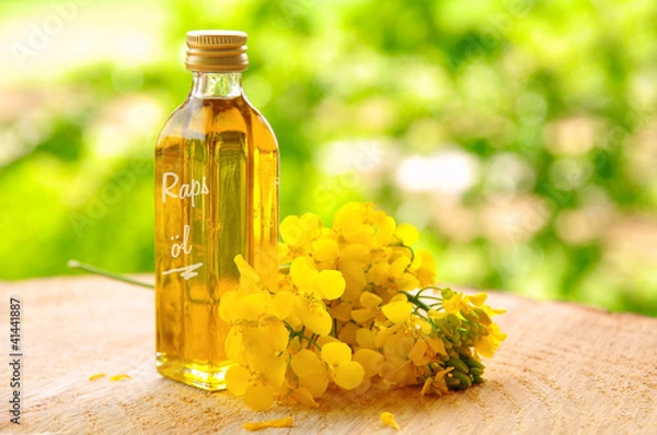 Obraz Rapsöl