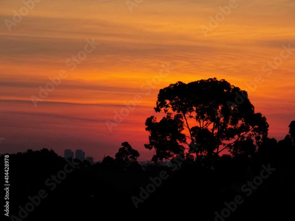 Obraz Savana na cidade