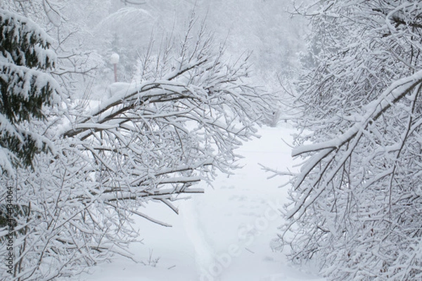 Obraz russian winter five