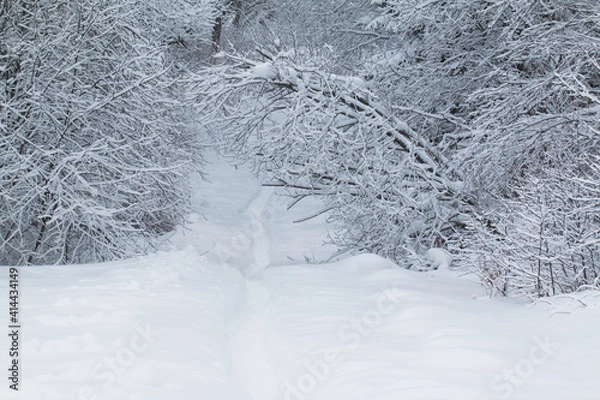 Fototapeta russian winter three