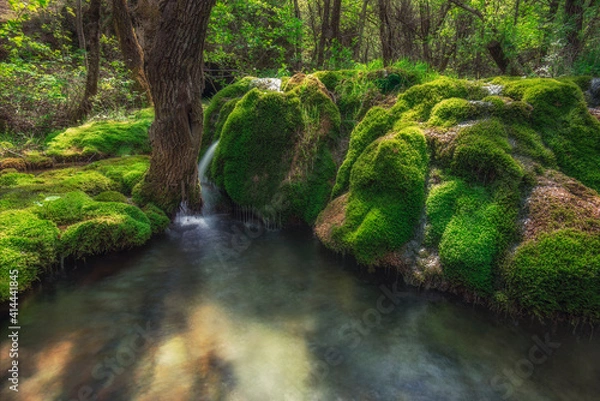 Obraz forest stream with waterfalls