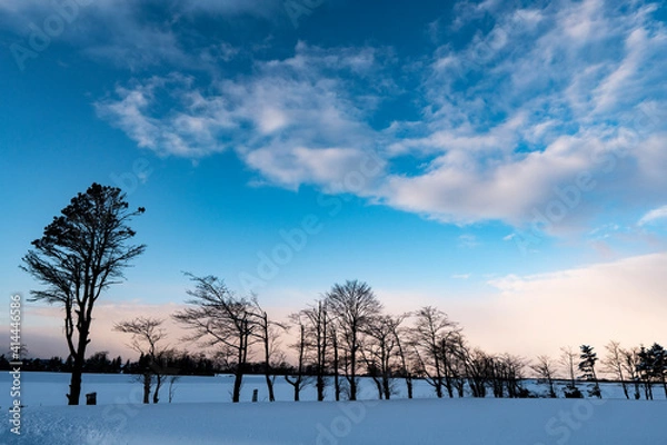 Obraz sunset on the river