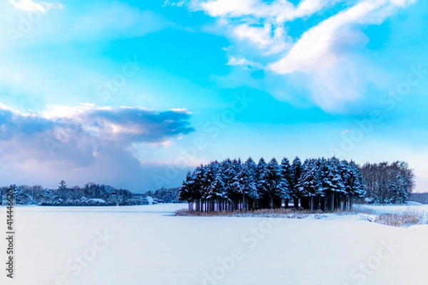 Fototapeta winter landscape with trees