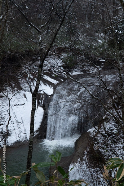 Obraz river in the forest