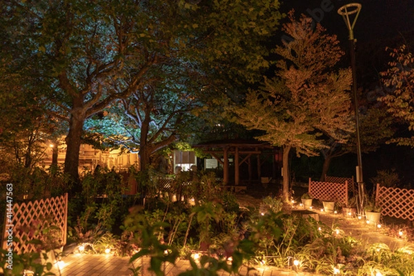 Obraz autumn in the park