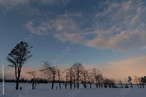 Obraz sunset in winter