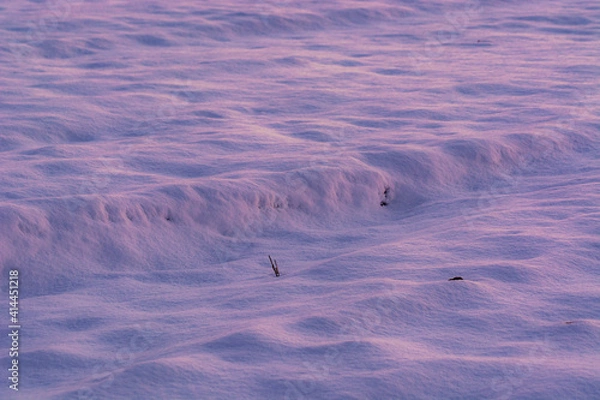 Obraz Schneedecke auf dem Feld