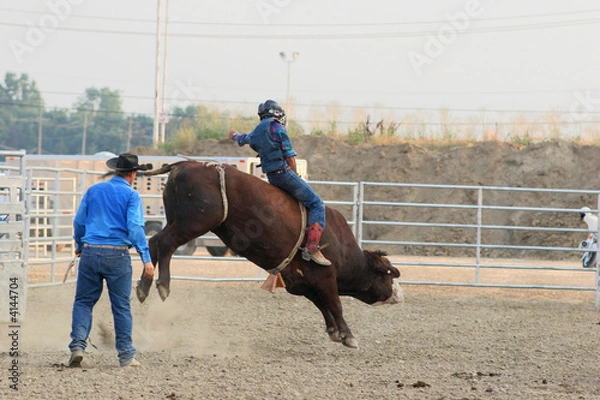 Obraz Rodeo Rider