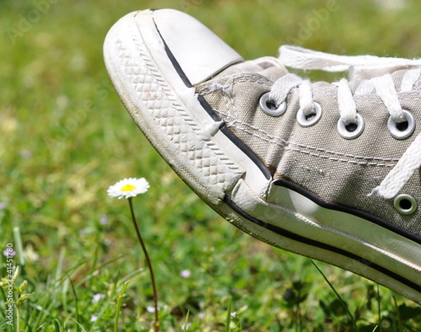 Fototapeta chaussure écrasant une fleur