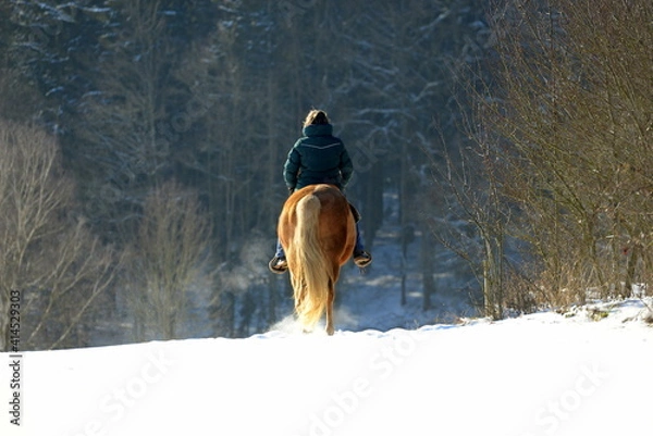 Obraz Ausritt im Schnee