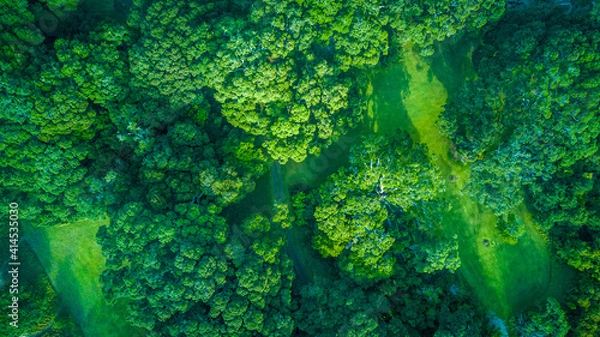 Fototapeta Aerial view of the forest at the recreational area around Auckland, New Zealand