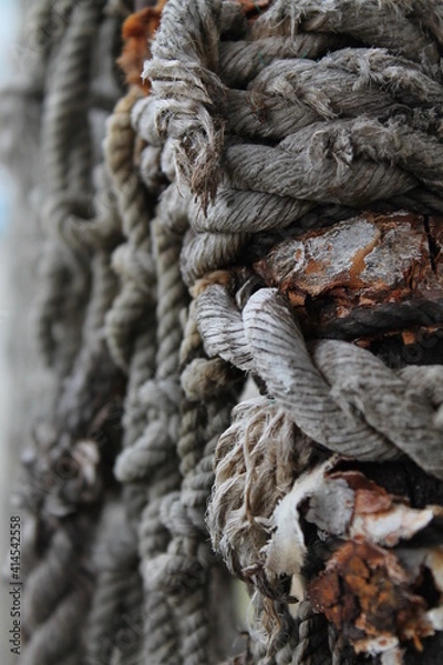 Obraz Old ropes on the dock.