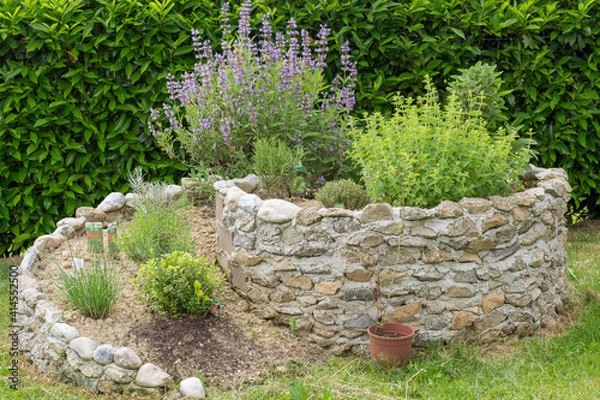 Fototapeta Herb Spiral Of Stone With Flowering Sage And Other Culinary Herbs