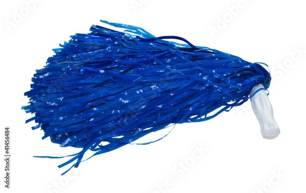 Obraz Pom Pom Waved Sideways