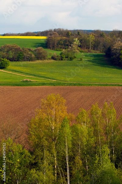 Fototapeta Hills Landscape In Spring